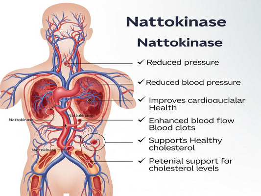 What Is Nattokinase Supplement Good For?
