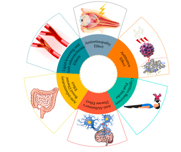 Nattokinase & Blood Clotting: How Long for Effects?